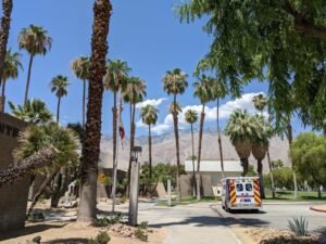Parked ambulance under bright sky in Palm Springs with towering palm trees and mountain view.
