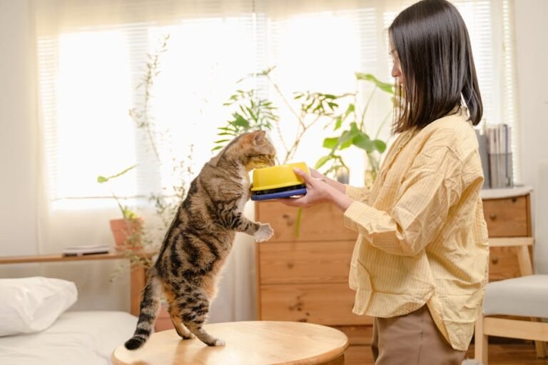 A woman feeds her cat indoors in a bright room with plants, highlighting pet care and domestic life.