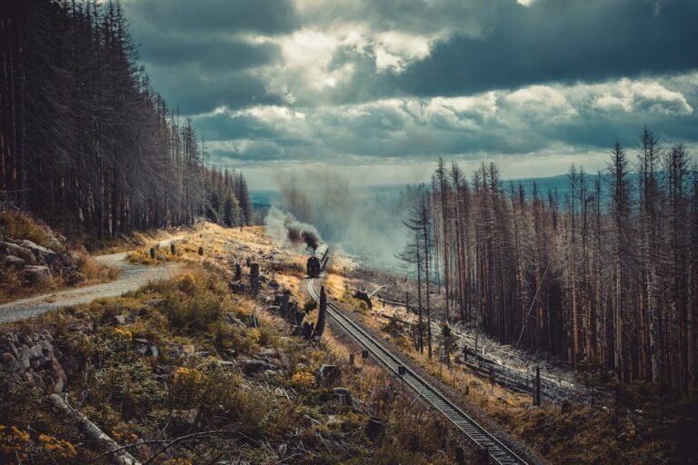 Steam train travels through misty Harz forest, offering a scenic journey amidst dark clouds.
