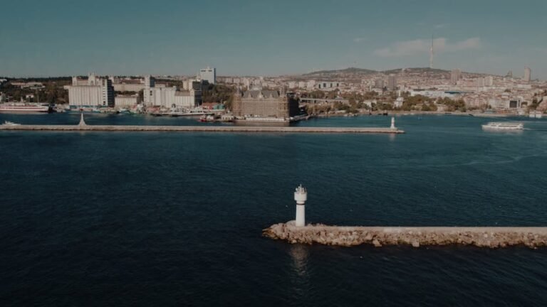 Breathtaking aerial shot of Istanbul coastline showcasing the historic architecture and vibrant cityscape.