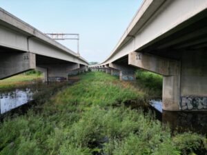 Two concrete bridges converge over a lush green space, adorned with graffiti and surrounded by nature.