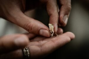A tiny green lizard gently held between human fingers, showcasing delicate details.