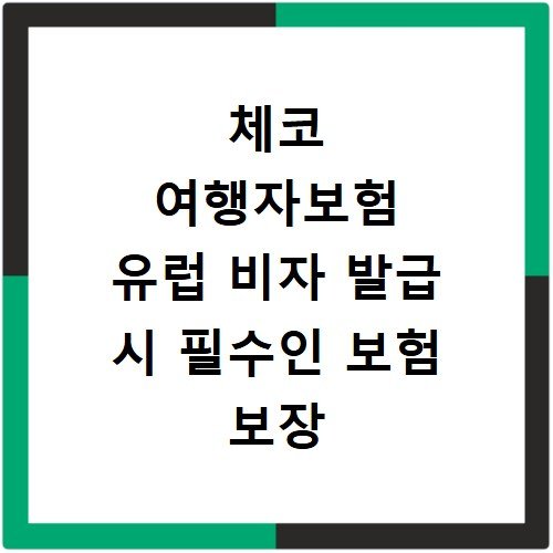 체코 여행자보험 유럽 비자 발급 시 필수인 보험 보장 금액 확인