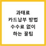 과태료 카드납부 방법 수수료 없이 하는 꿀팁