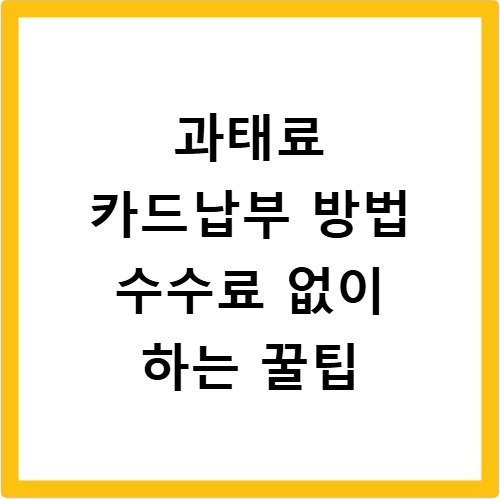 과태료 카드납부 방법 수수료 없이 하는 꿀팁