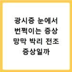 광시증 눈에서 번쩍이는 증상 망막 박리 전조 증상일까