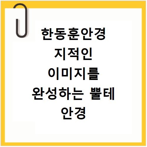 한동훈안경 지적인 이미지를 완성하는 뿔테 안경 모델 정보