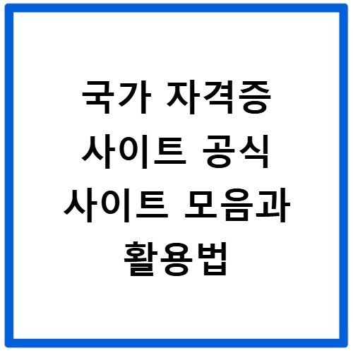 국가 자격증 사이트 공식 사이트 모음과 활용법