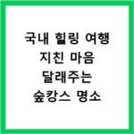 국내 힐링 여행 지친 마음 달래주는 숲캉스 명소