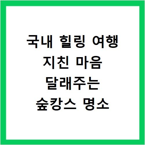 국내 힐링 여행 지친 마음 달래주는 숲캉스 명소