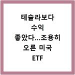 테슬라보다 수익 좋았다…조용히 오른 미국 ETF 정체
