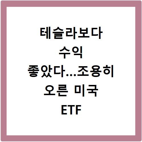 테슬라보다 수익 좋았다…조용히 오른 미국 ETF 정체