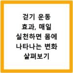 걷기 운동 효과, 매일 실천하면 몸에 나타나는 변화 살펴보기