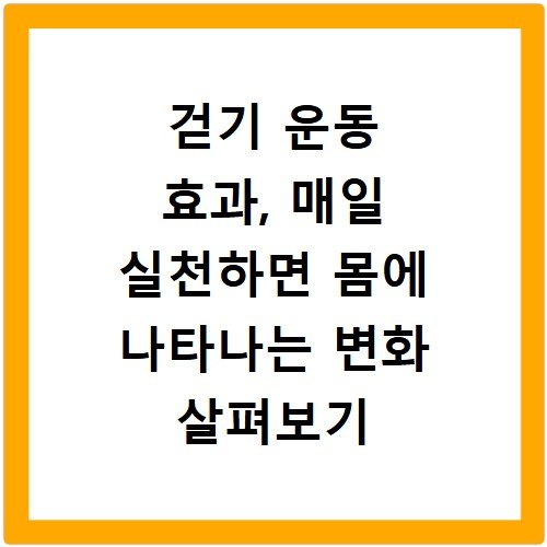 걷기 운동 효과, 매일 실천하면 몸에 나타나는 변화 살펴보기